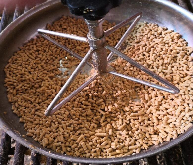 Stainless Steel Feeding Container for Piglets