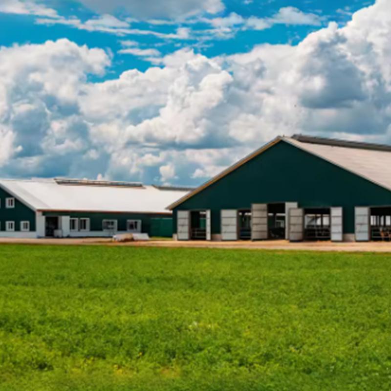 Jinhongtong Group Expands Steel Structure Workshop Solutions with Advanced Hot-Dip Galvanized and Heavy-Duty Design Systems for Global Industrial Markets