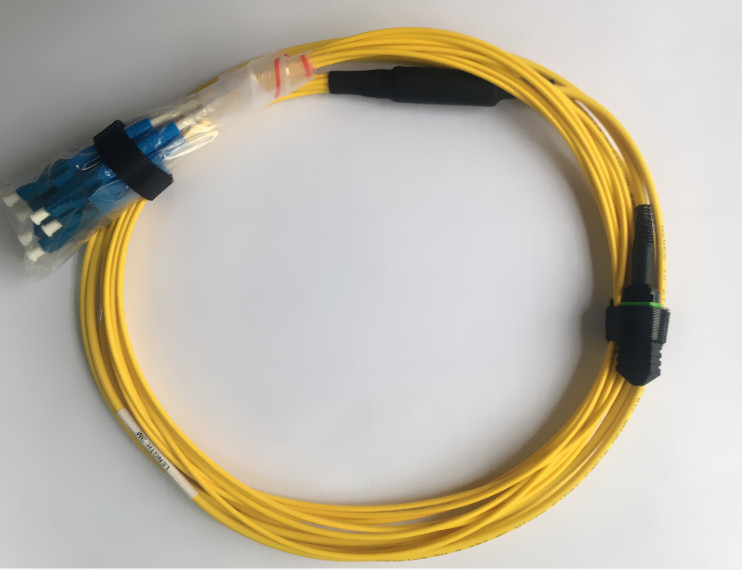 How to Choose MPO/MTP Patch Cords & Cassettes?