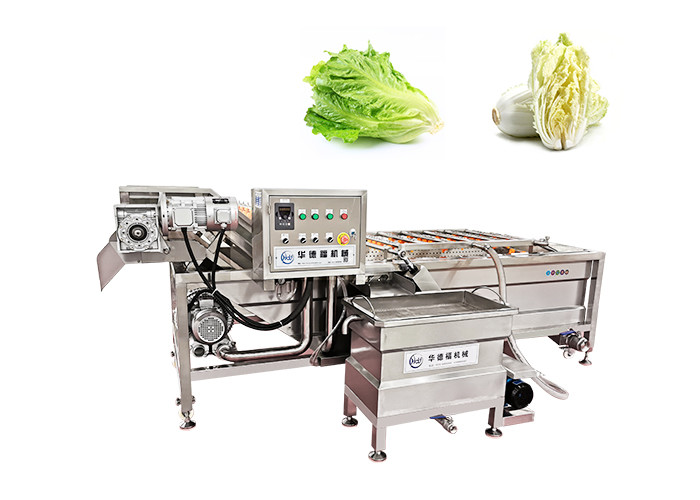 How To Choose The Right Fruit Vegetable Washer?