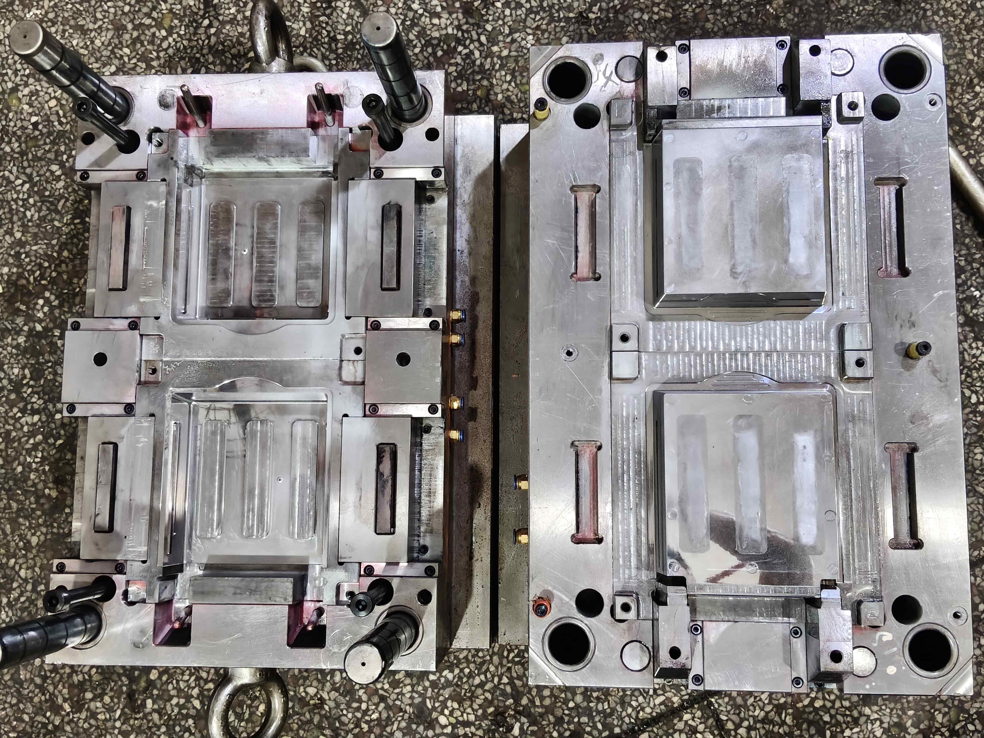 Delivering Customized Pet Accessory Solutions with Injection Molds and Molded Products