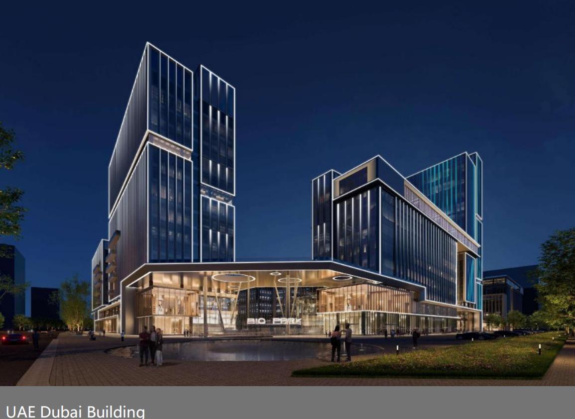 UAE Dubai Building Project 