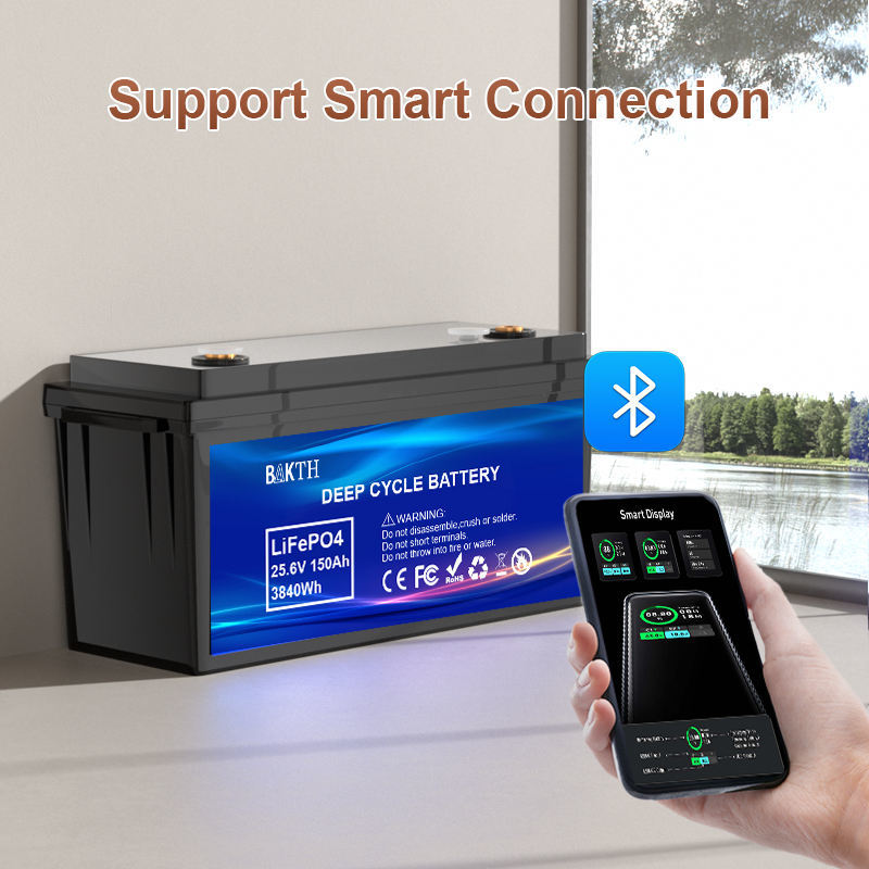 6000 Cycles Life 25.6V 150Ah 3.84kWh LiFePO4 Battery Pack for Electric Vehicles‌