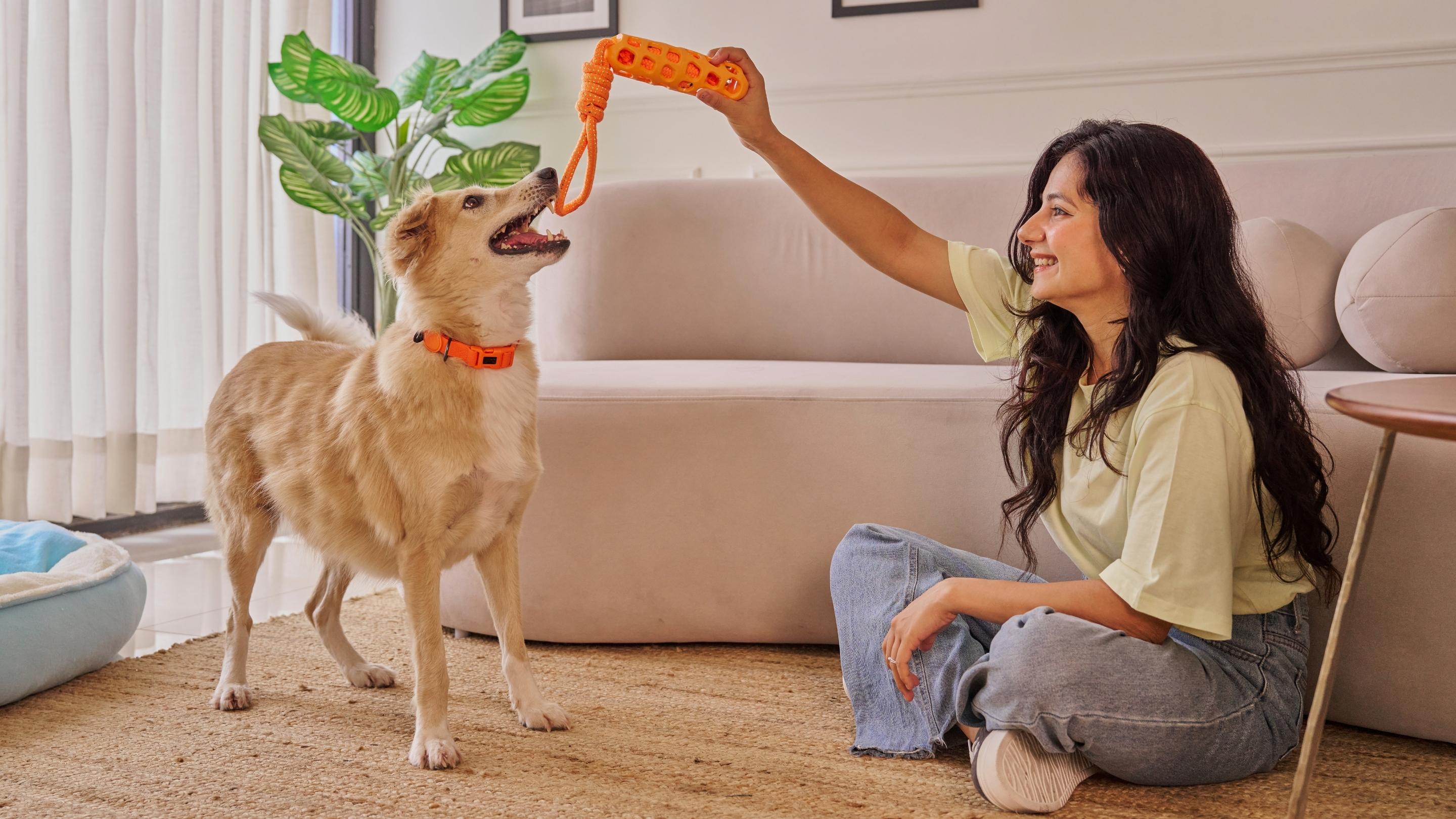 — Online Pet Retailer