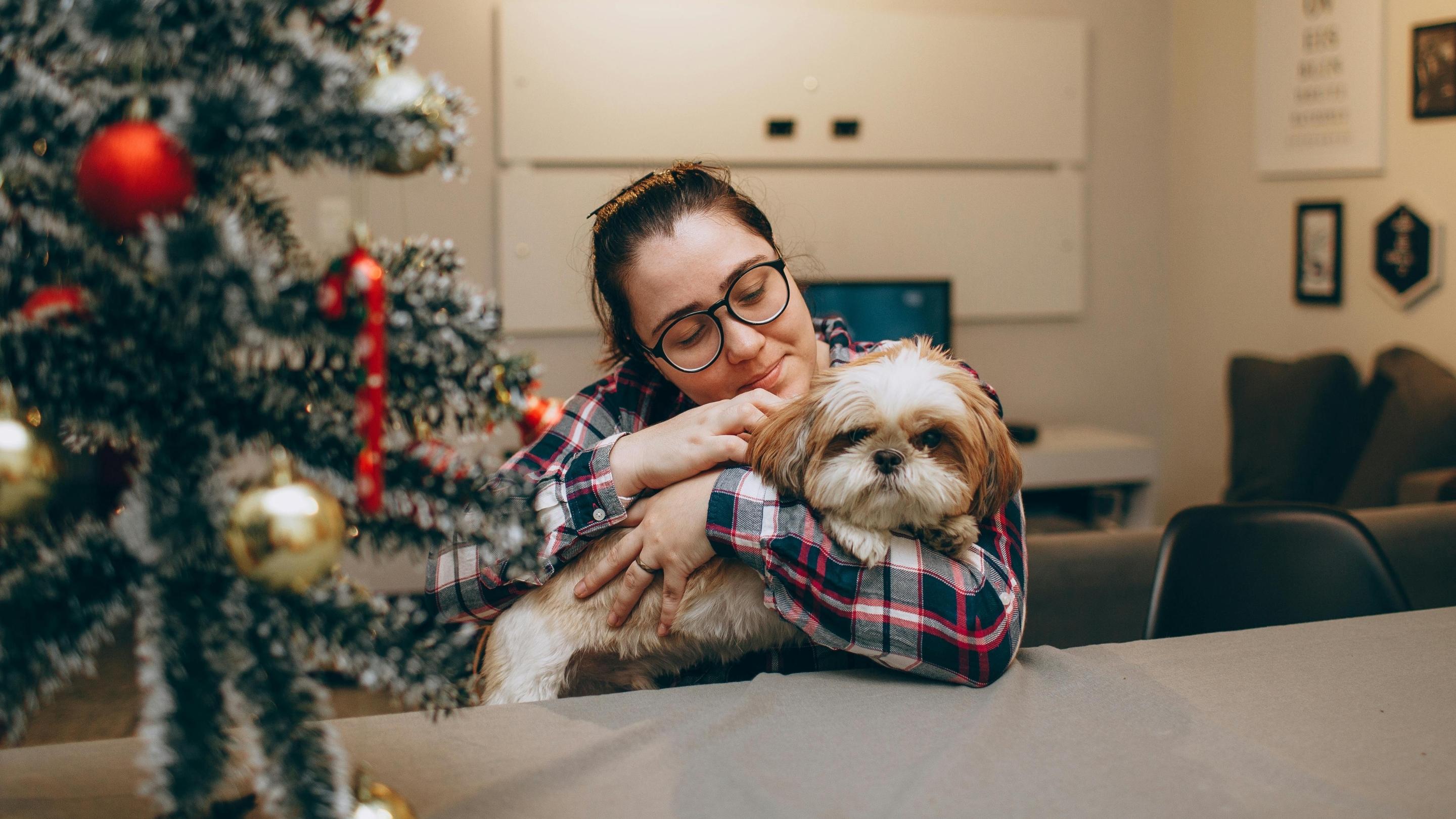 — Product Manager, Smart Pet Brand