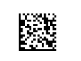 Inkjet Coder for GS1 Data Matrix