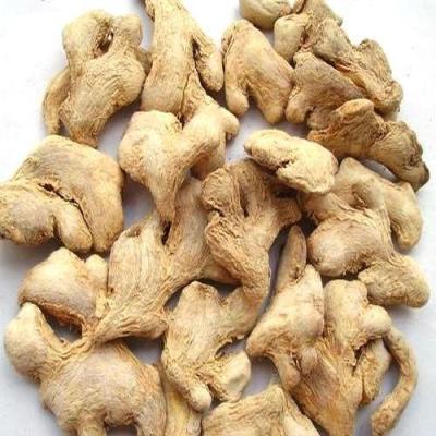 China Natural Dried Dehydrated Ginger Root With HALAL HACCP for sale