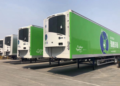 Anxinda reindeer cold chain project