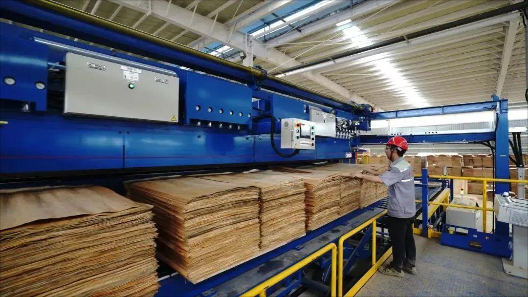 Customized Melamine Supply for Adhesive Resin Manufacturer