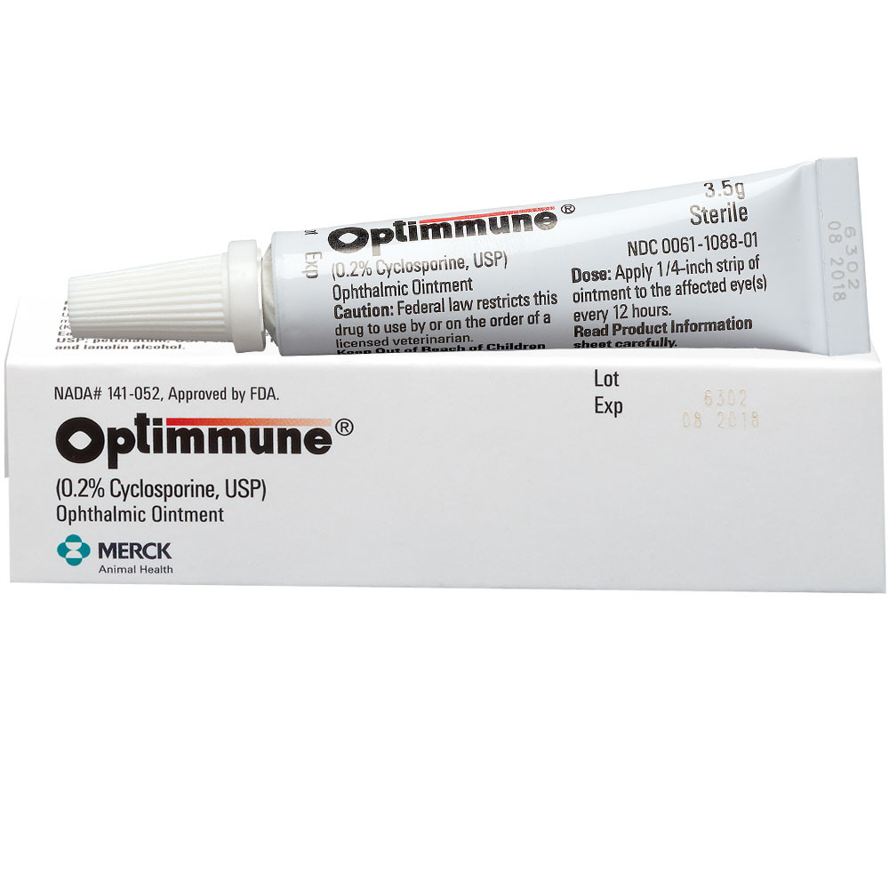 Ointment pharmaceutical production project