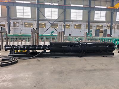560kW Horizontal Submersible Long Shaft Pump for a Large Reservoir Water Intake and Supply Project in Southeast Asia