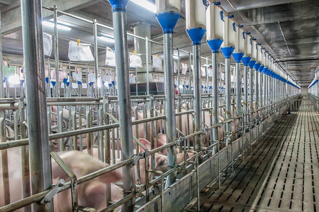 Farming factory lighting application-waterproof tube