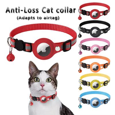 The Importance of Kitten Collars