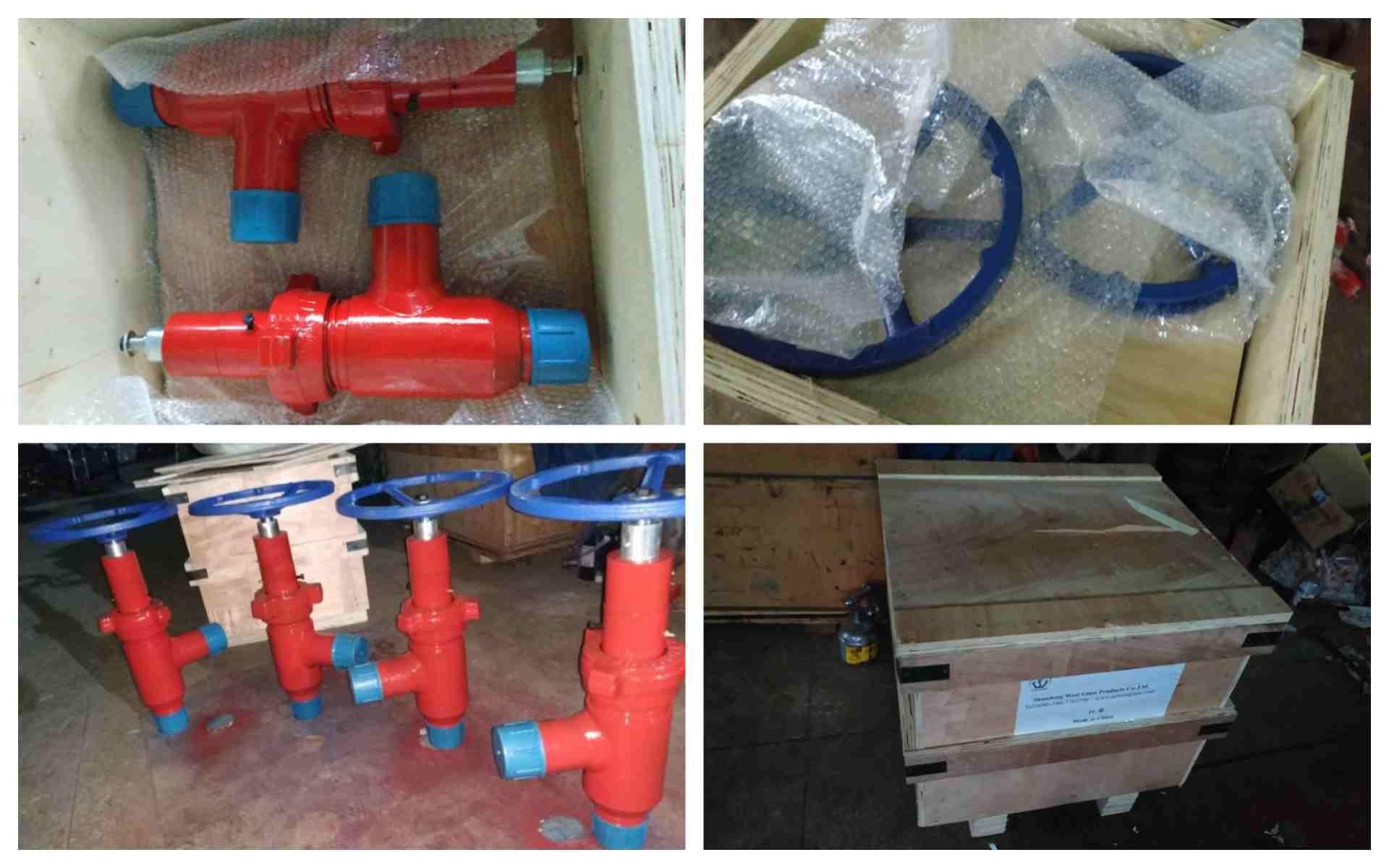 Previous 2-inch choke valve delivery cases