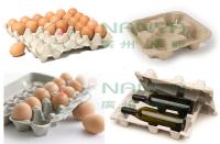 China Fully Automatic Recycle Paper Egg Tray Machine for sale
