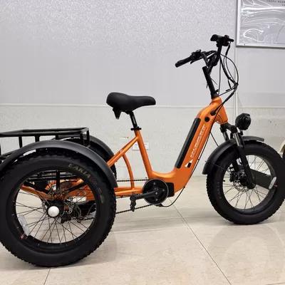 Multi-functional Leisure Electric Two-wheelers Adapt to Passenger Transport and Stall Business in Kenya
