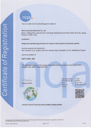 Consensic successfully passed TS16949 quality system certification