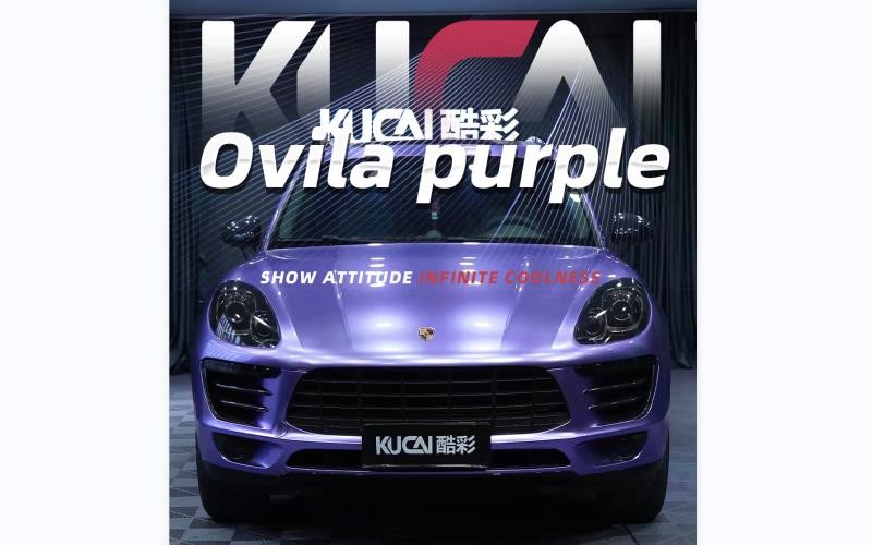 Case feedback from TPU Ovila Purple