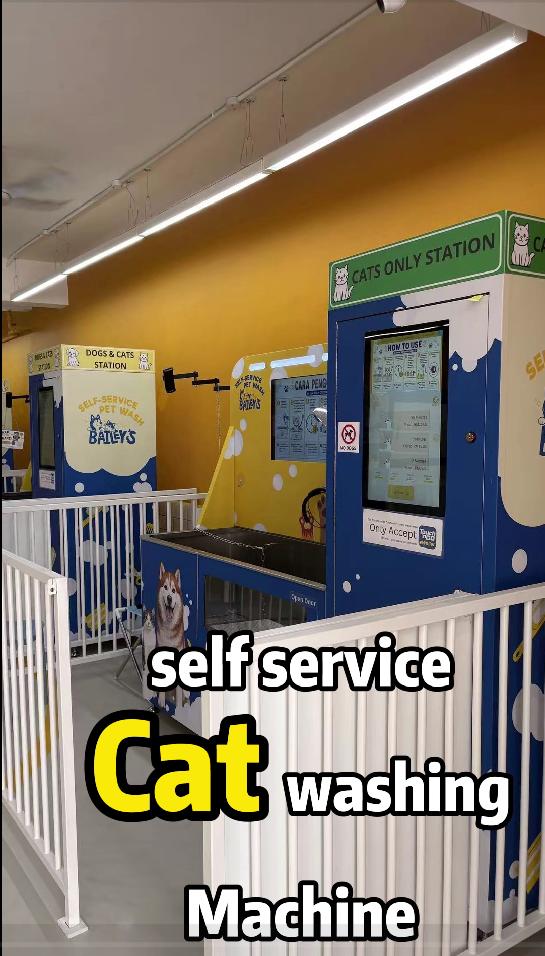 Malaysia Self Service Dog Wash Business Case Study with Pet Wash Station