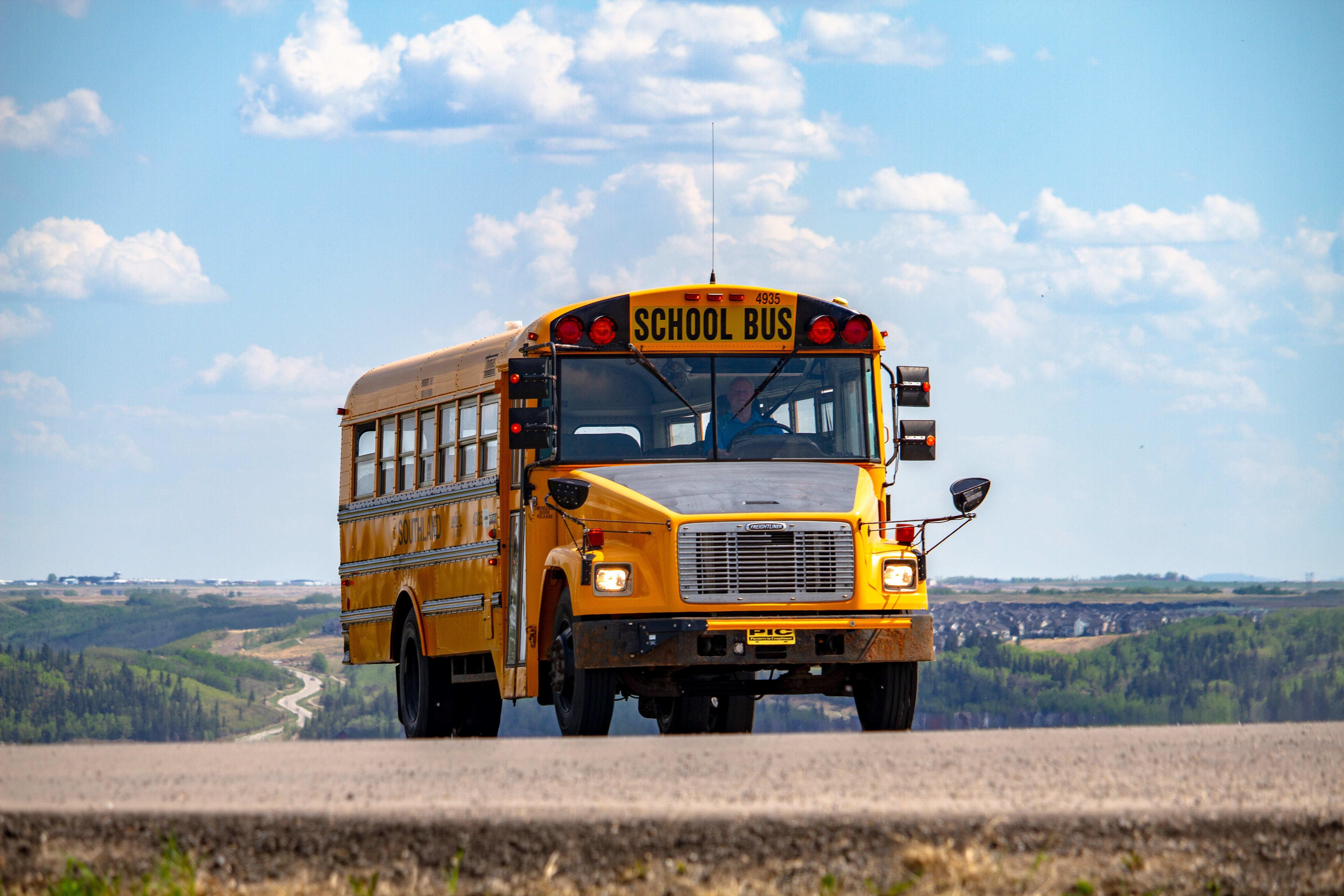 Buses