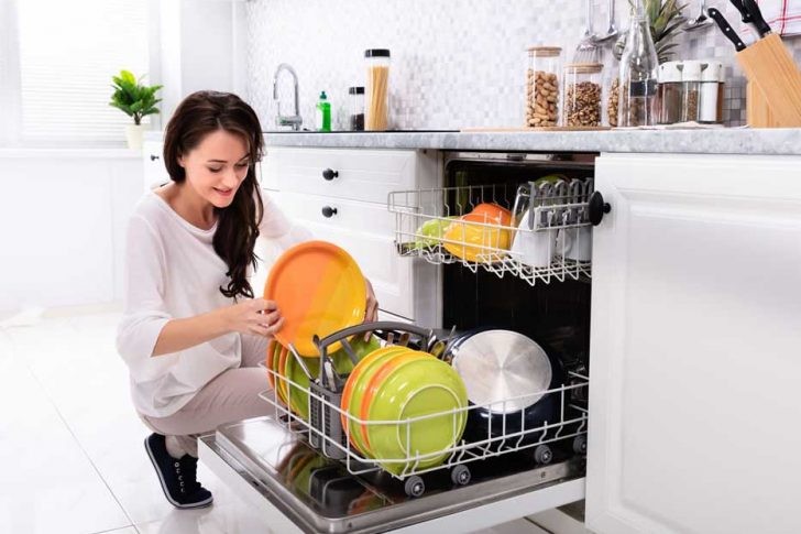 Dishwasher Pump Motor