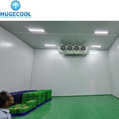 China Customized -60c Deep Cold Room with Shipping Cost and Estimated Delivery Time for sale