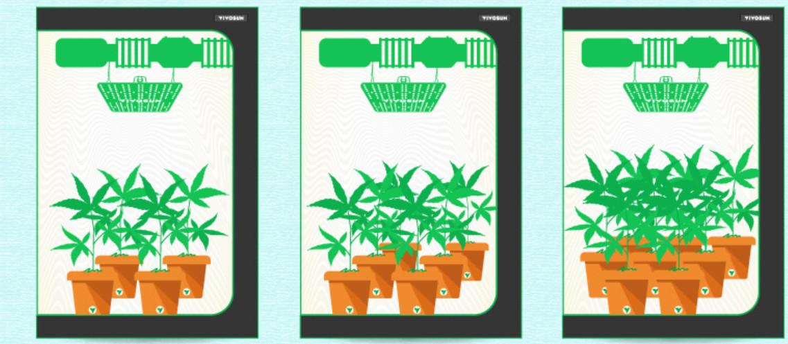 What’s the Best Grow Lighting Solution for Different Planting Methods.