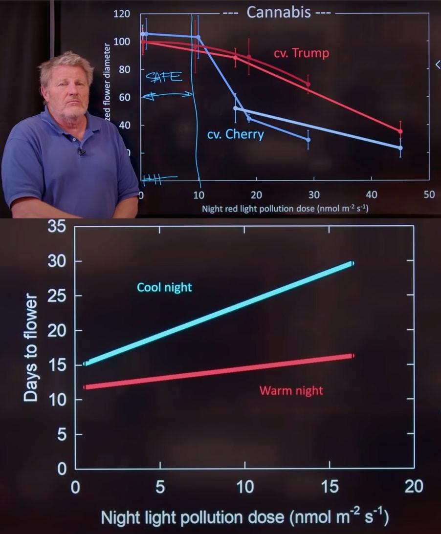 Effects of Darkness on Cannabis Growth