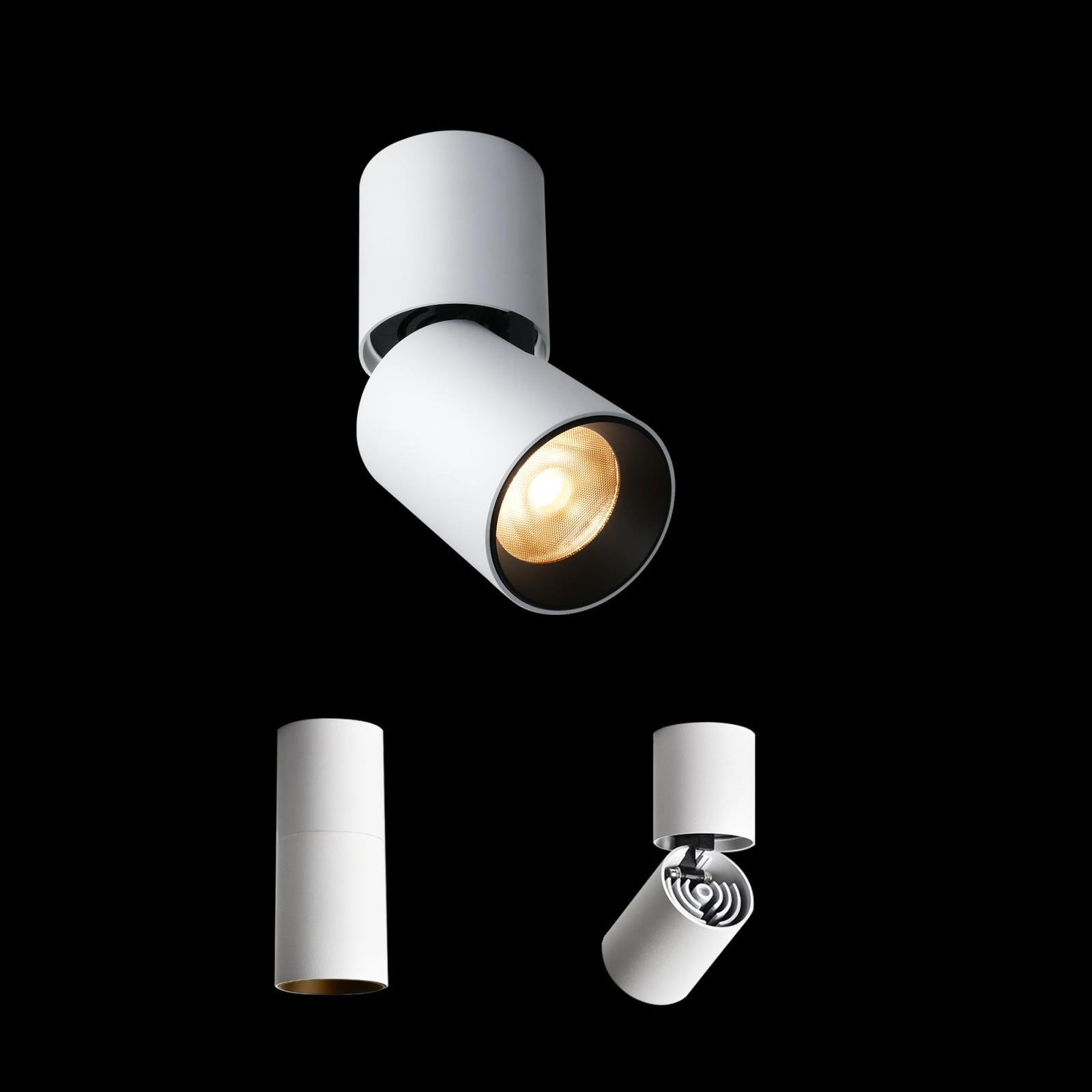 Why do we love spotlights