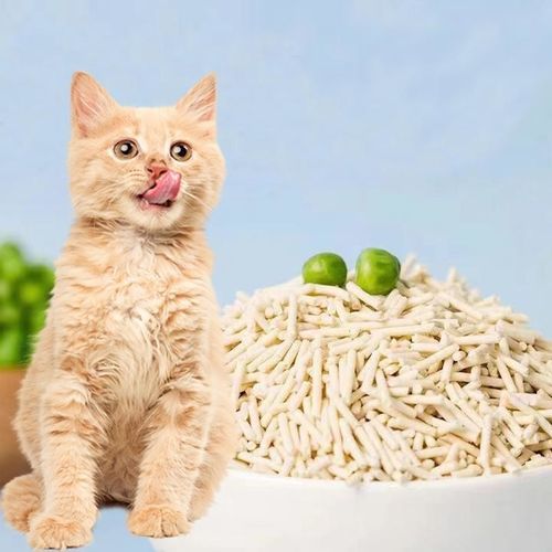 How to make your cat easily adapt to tofu cat litter?