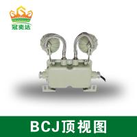 China LED 2x3W Flame Proof Emergency Light CE ATEX Ni Cd Battery Ceiling Mounted IP66 for sale