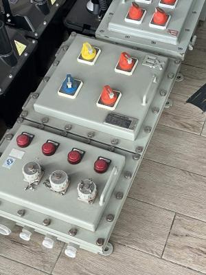 China IIC T4 Explosion Proof Control Panel – Flameproof Distribution Enclosure for Hazardous Areas for sale