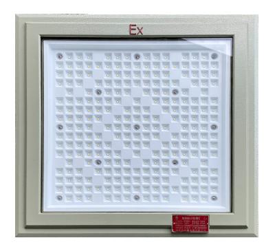 China Explosion-Proof LED Flood Light High-Brightness Gas Station Light 100–250W Maximum Color Temperature 5700K with a 5-Year Warranty for sale
