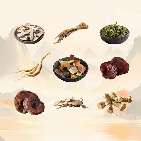 3D Digitization of Chinese Herbal Medicine Specimens