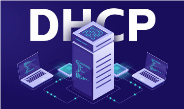 How does DHCP work?