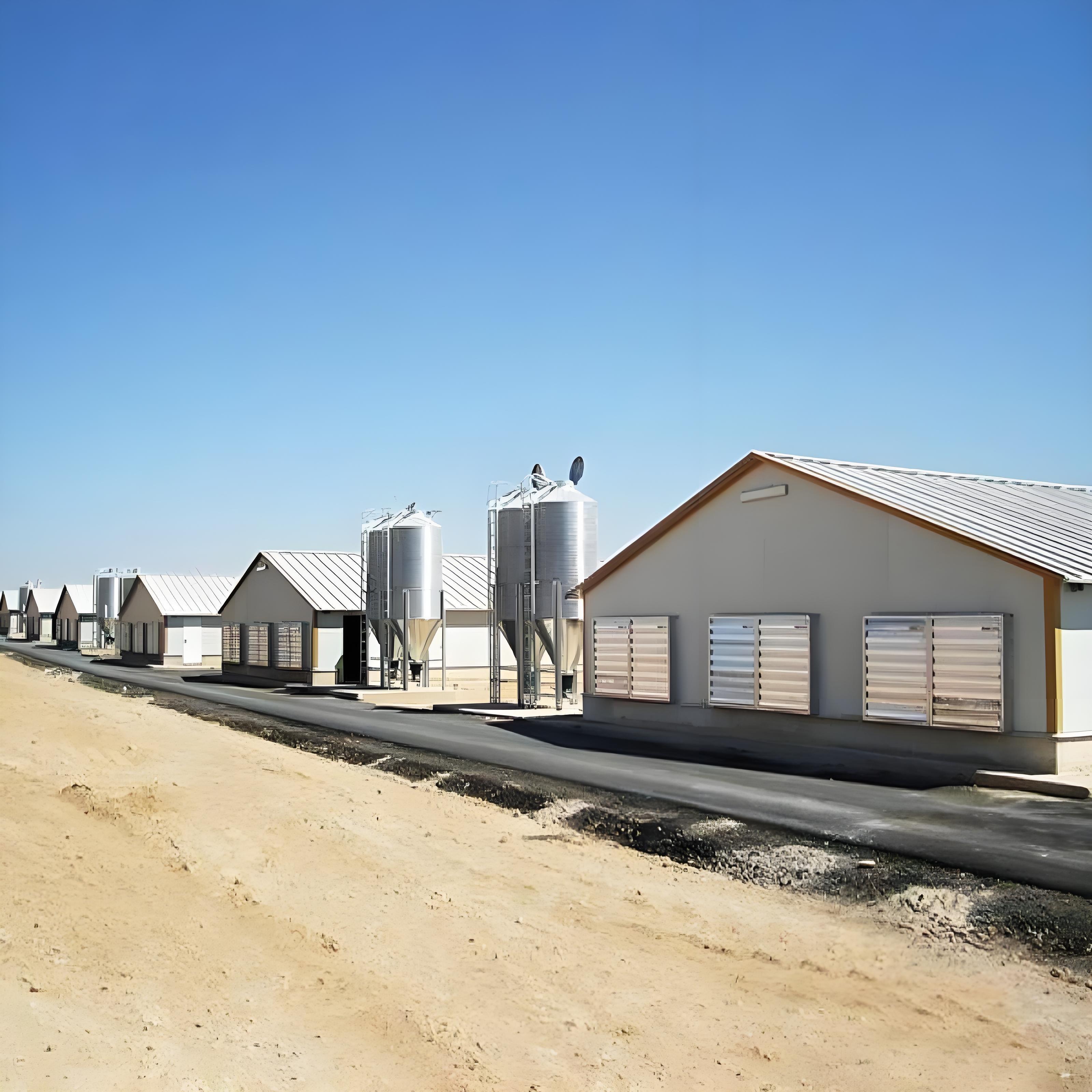 Steel Frame Poultry House