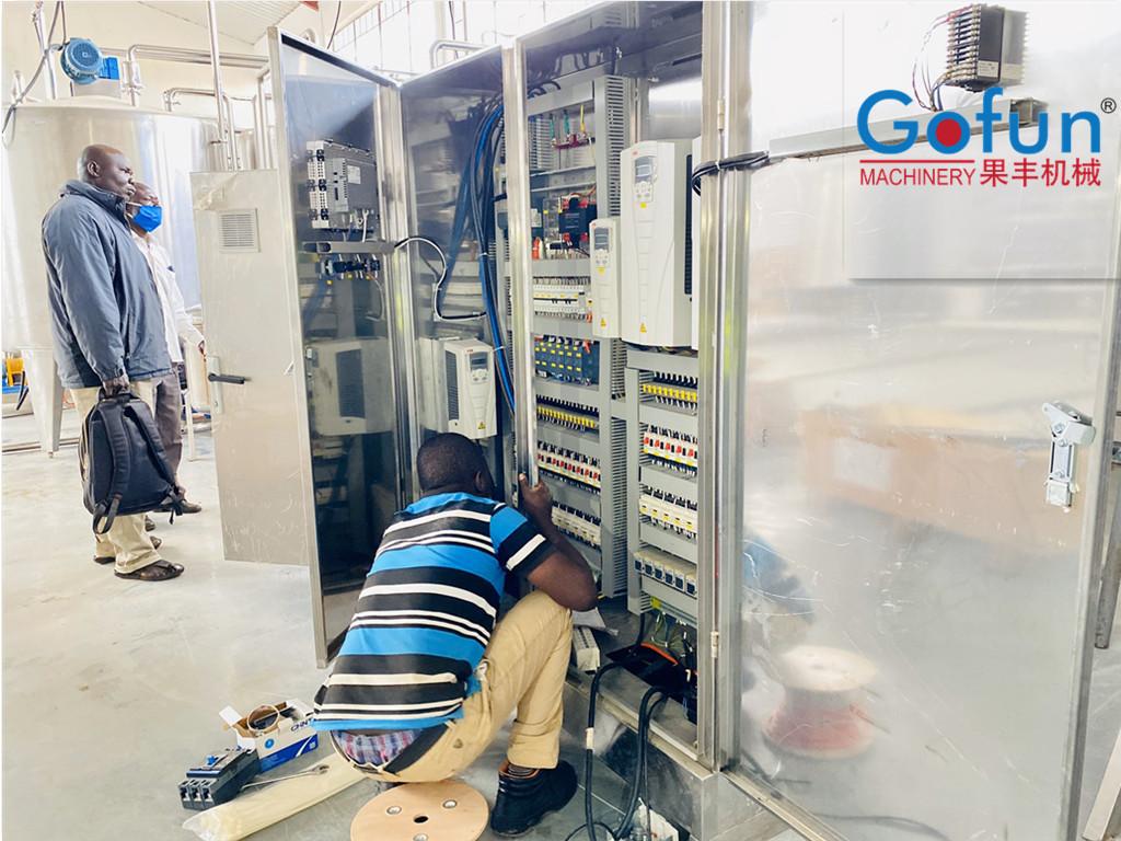 5 T/H mango pulp/ puree processing line in Uganda