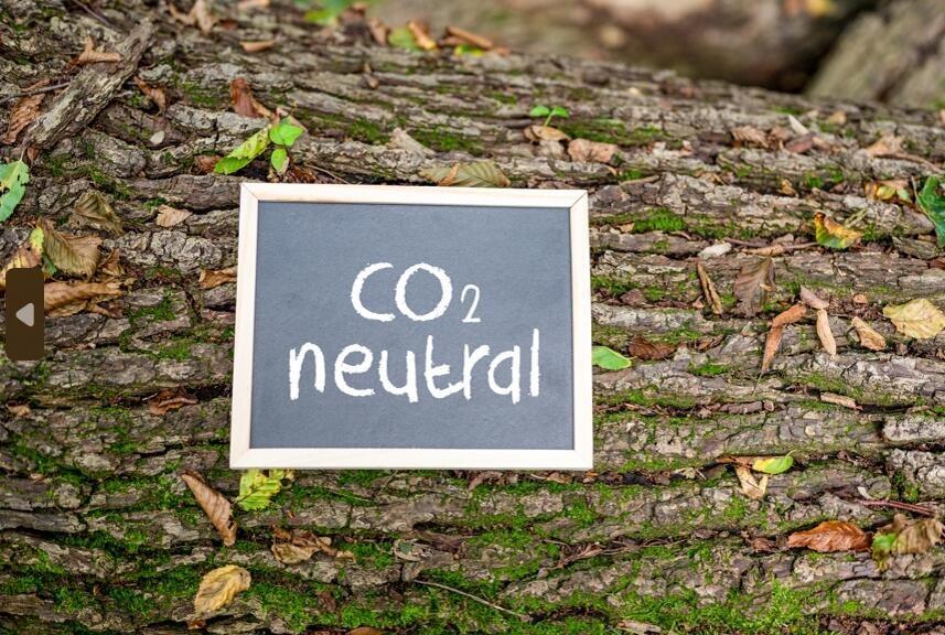 More than 200 companies around the world have joined The Climate Pledge to actively implement carbon reduction actions