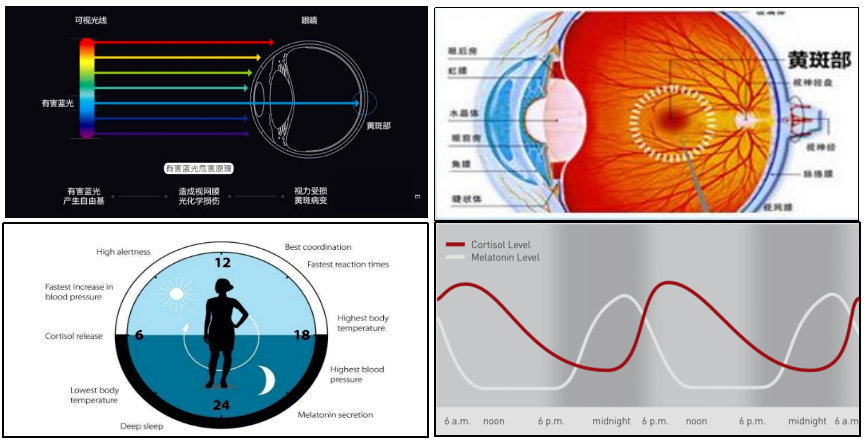 Human-Centric Lighting (Healthy Lighting)