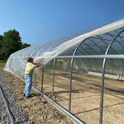 The Galvanized Steel Pipes Popular In Greenhouse