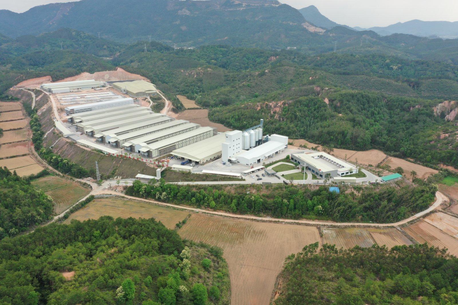 Layer and pullet rearing equipment are used in high temperature and high humidity areas in South China