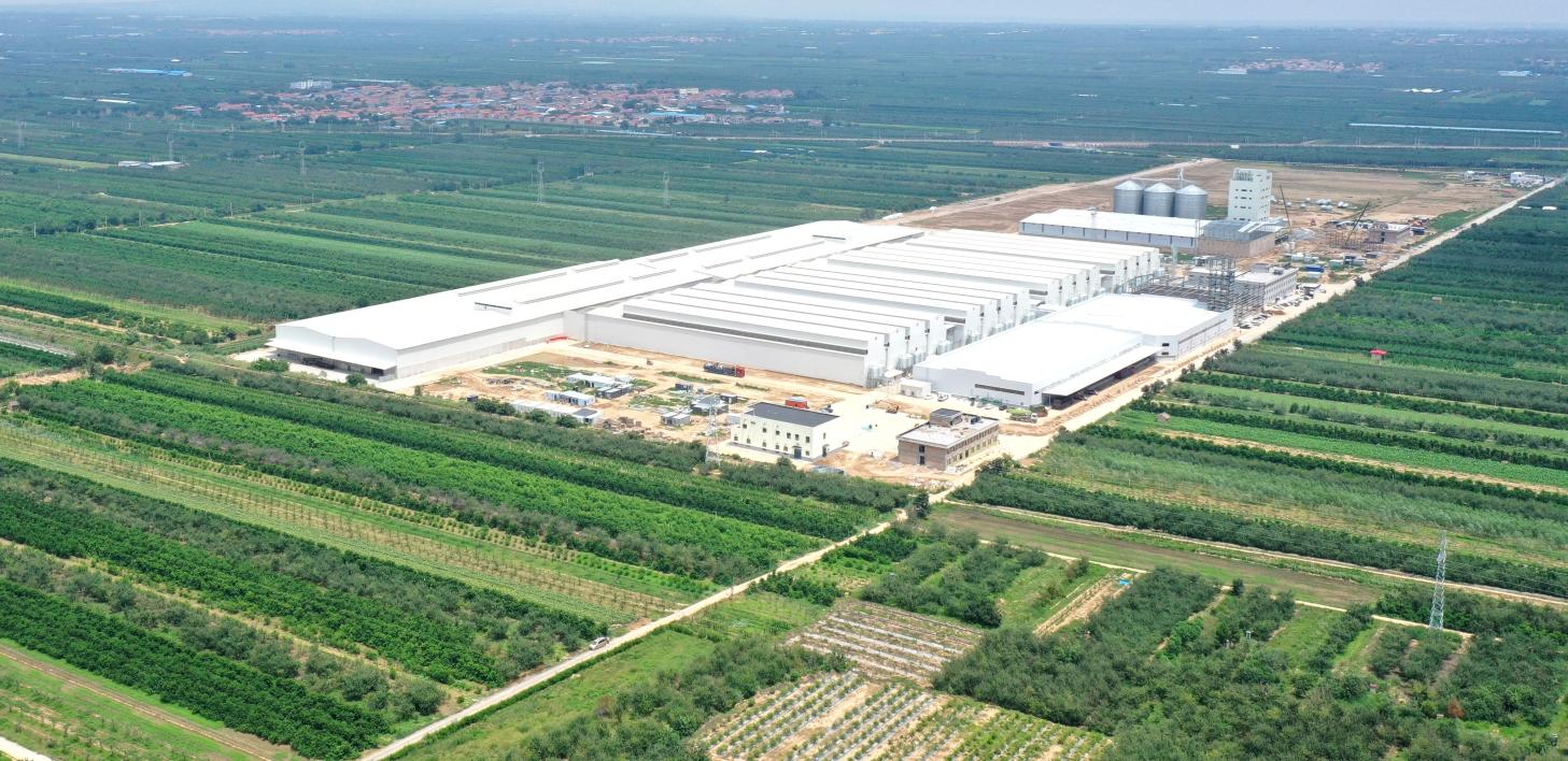 Customized 12 tiers layer rearing equipment solutions