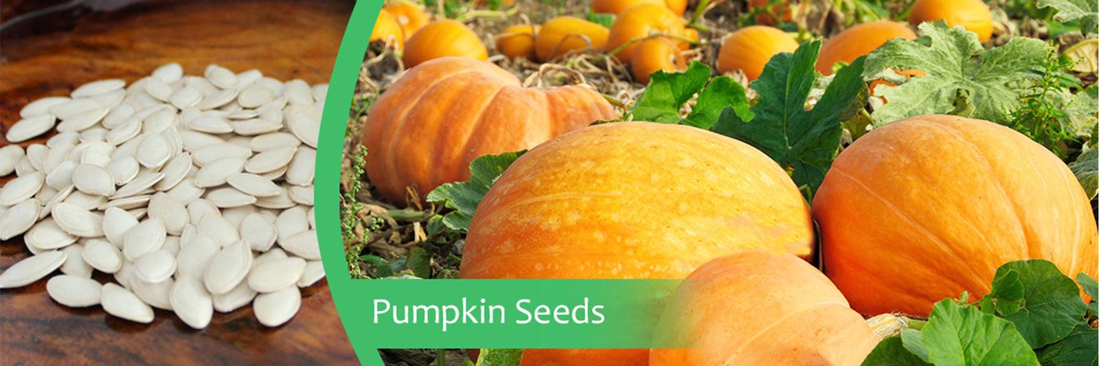 Key Advantages Of Pumpkin Seeds