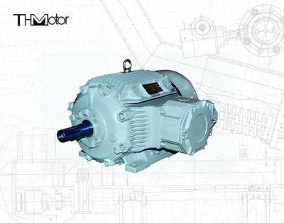 China IC611 IC01 Flameproof Electric Motor IP65 Explosion Proof Motor Pump for sale