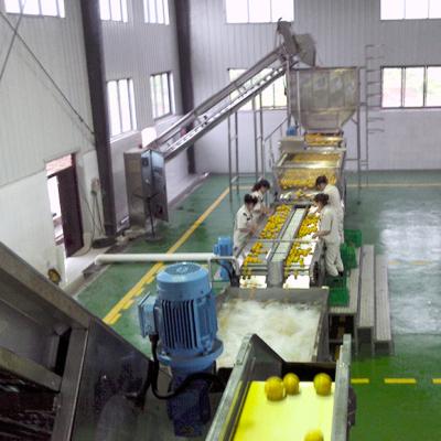 China Professional NFC Orange Juice Production Line Capacity Customized for sale