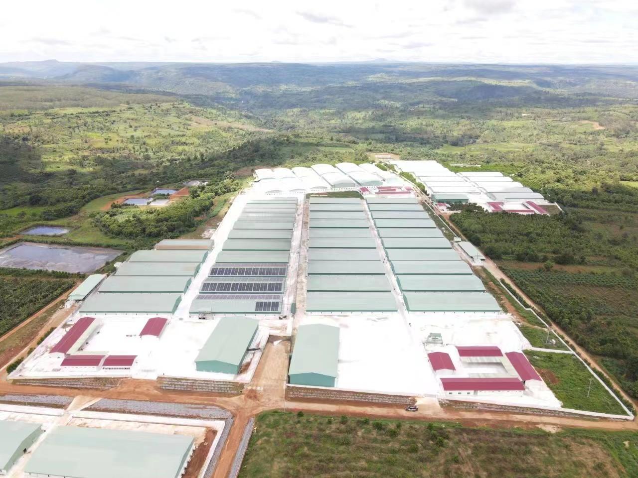 Large Backup Energy Storage System