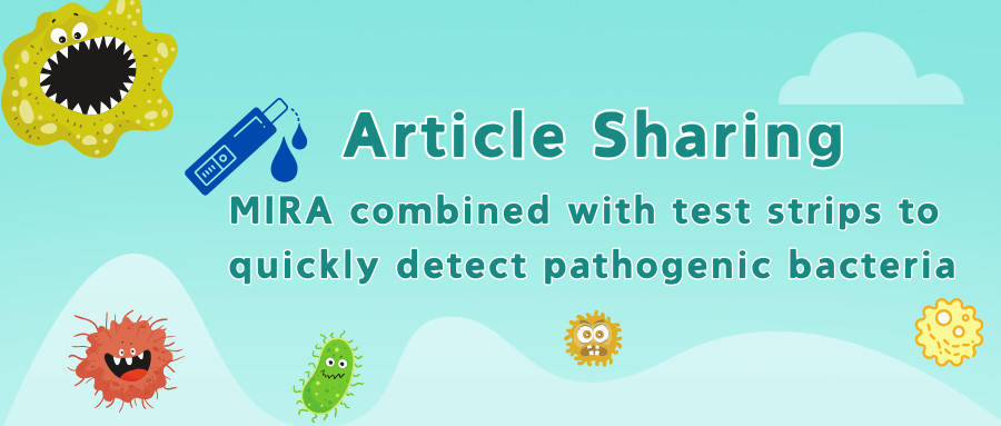 Article Sharing丨MIRA combined with test strips to quickly detect pathogenic bacteria