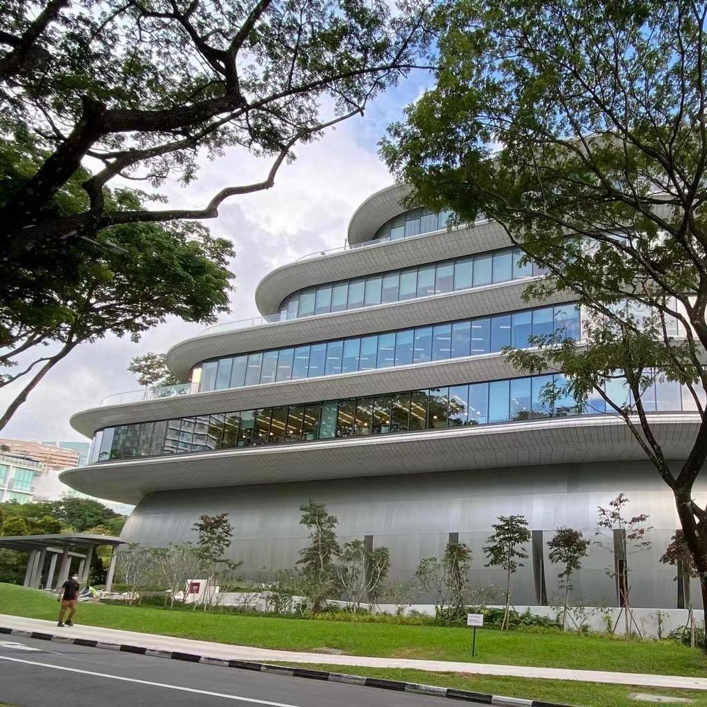 Special-shape Facade Support Project in Singapore