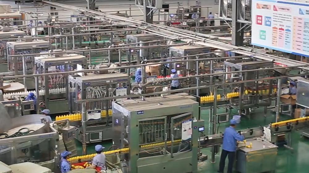 Automated Production Workshop for Large-Scale Pesticide Plant