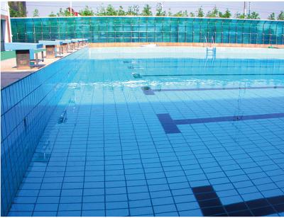 China 115x240mm Ceramic Pool Mosaic Tiles 6mm Thick Waterproof for sale